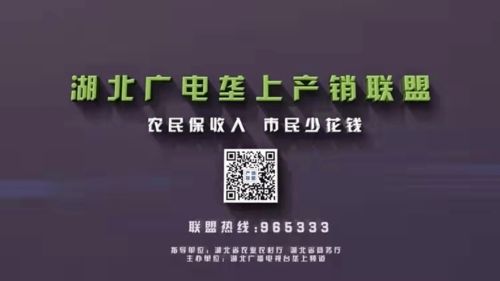 垄上产销联盟做媒，耶盟广告联盟助力三款产品引爆武汉市场