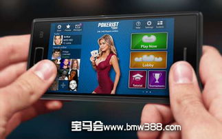 铁锤帮锋线换血，耶拉维奇跨界加盟 从西汉姆到北京人和的奇幻漂流